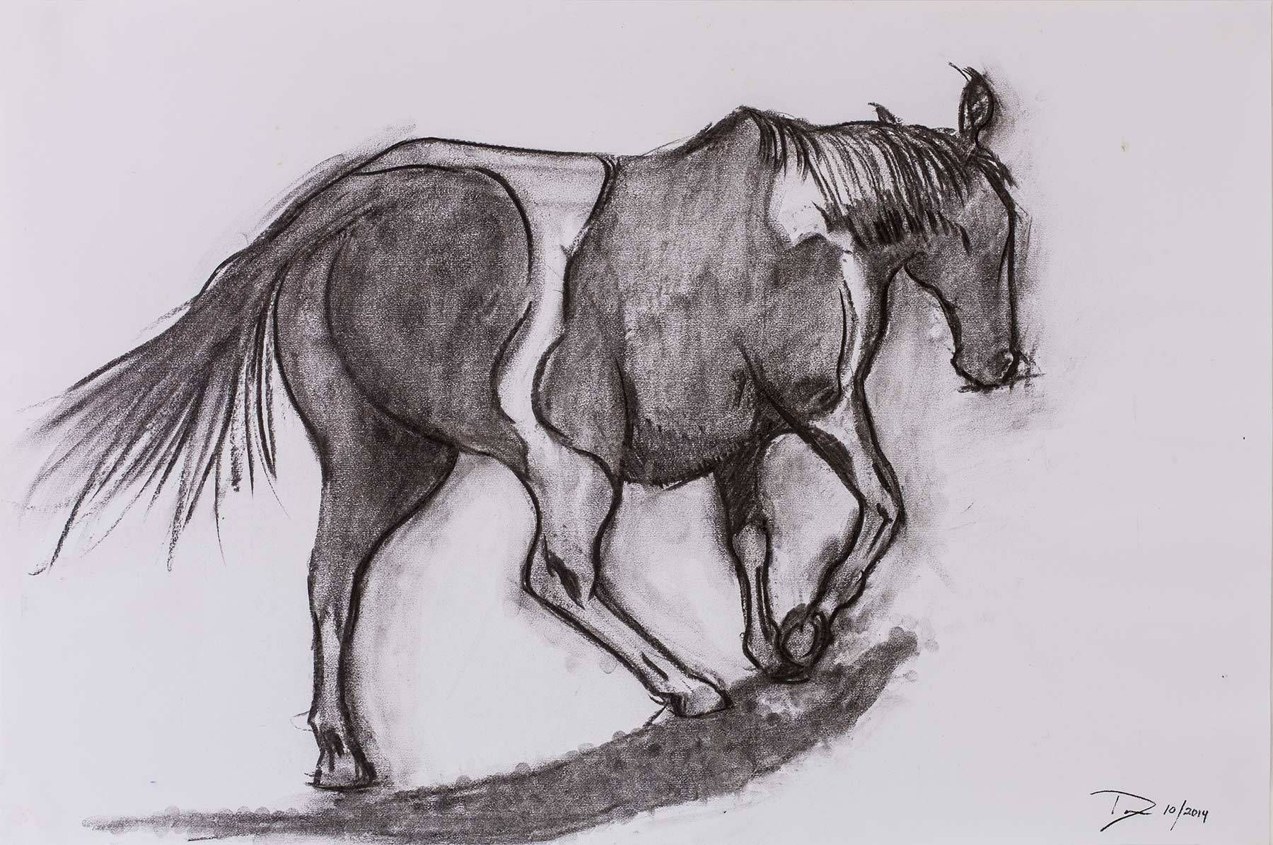 1horse_portrait_3624