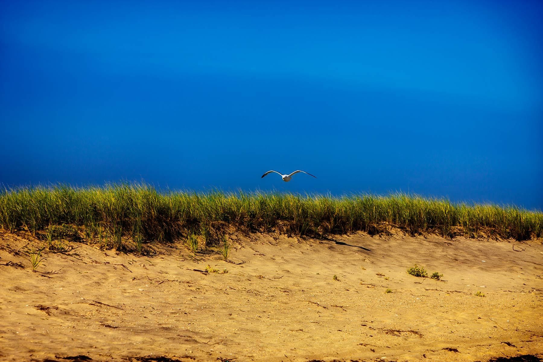 1mv_explore_002_5886