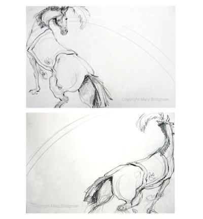 bachandcordobadrawings.jpg