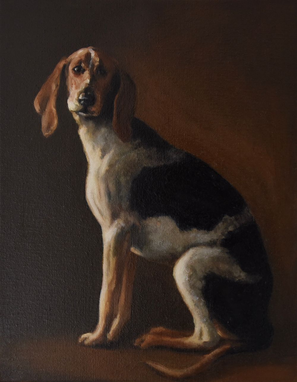 Oil on Linen, 14" x 11" Fox Hound