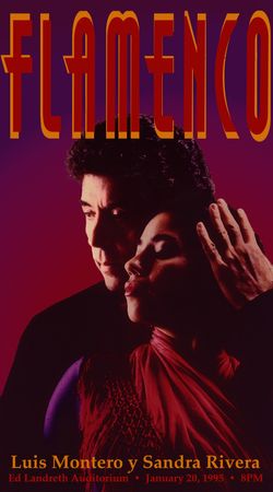 flamenco3.jpg