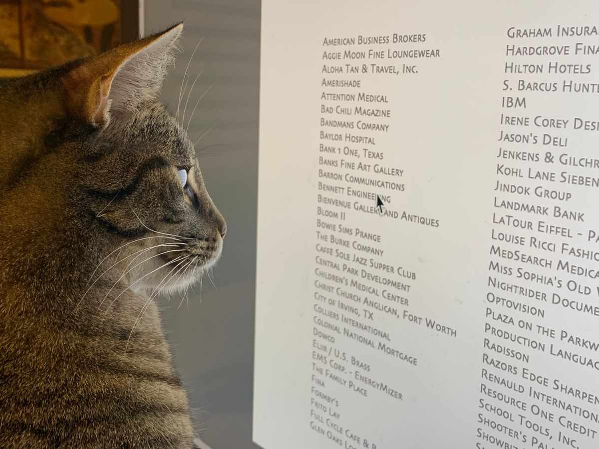 cat with client list.jpg