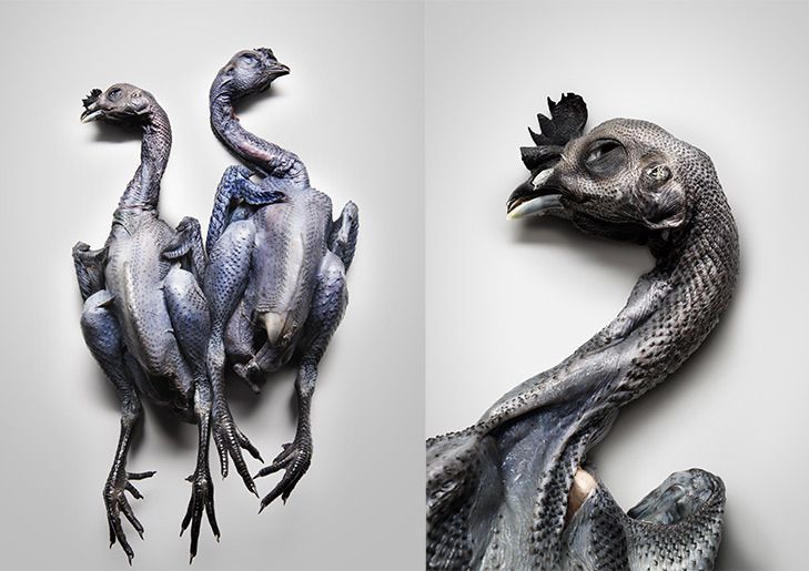 1r13008_02a_003_lr_01web