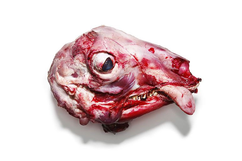 1r13008_01a_154_lr_01web