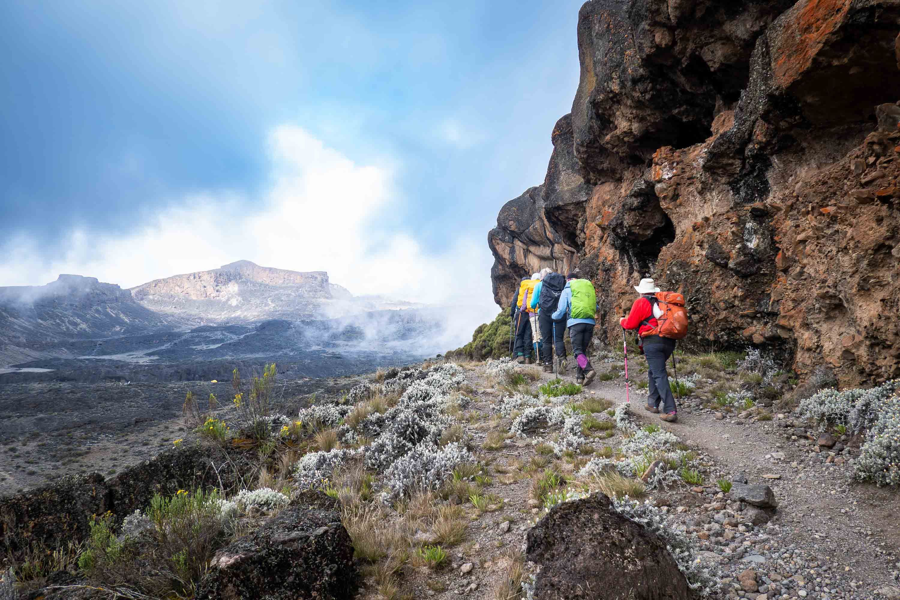 climbing Kilimanjaro, day three