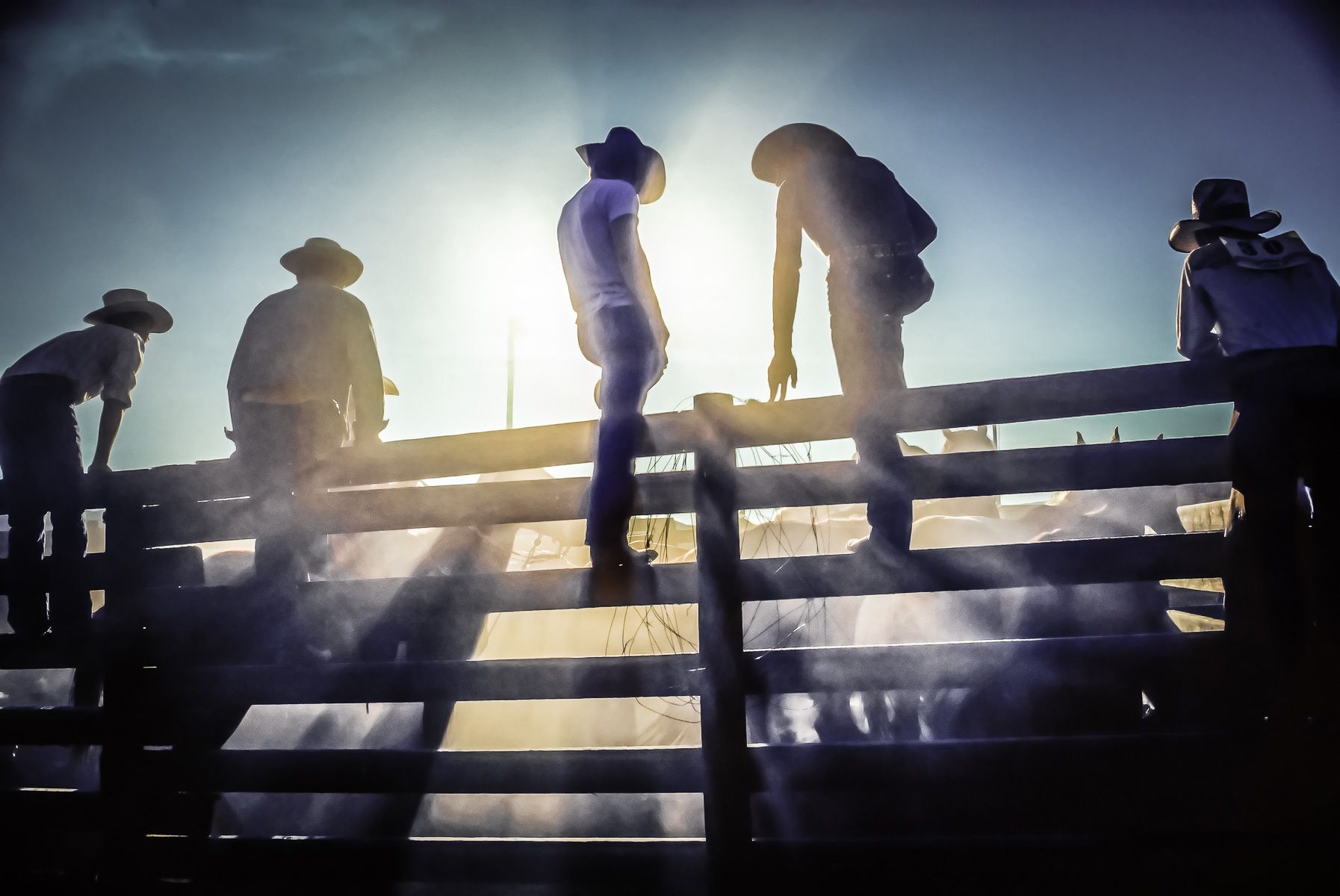 Cowboys and Dust, Granby, Colorado