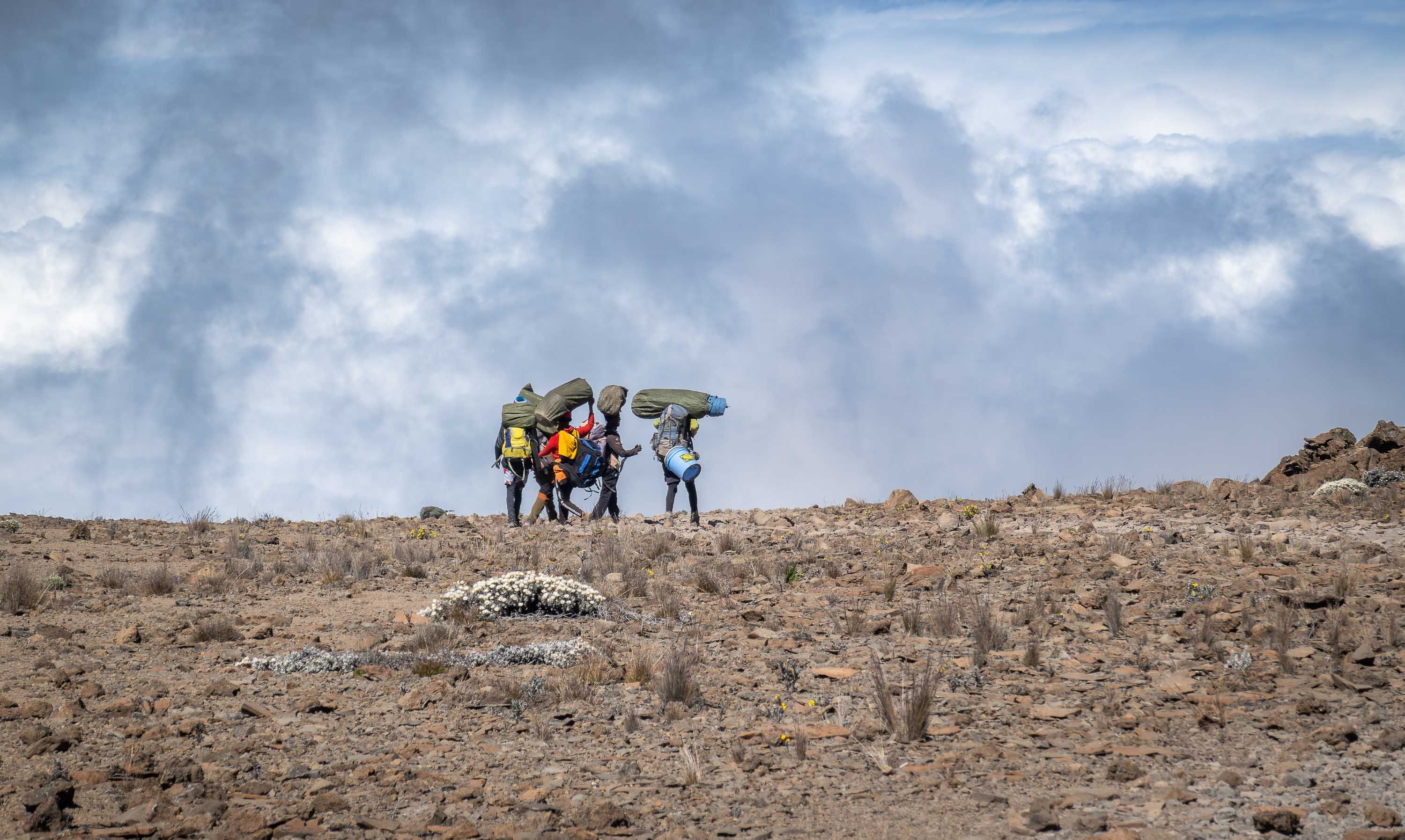 porters, Kilimanjaro