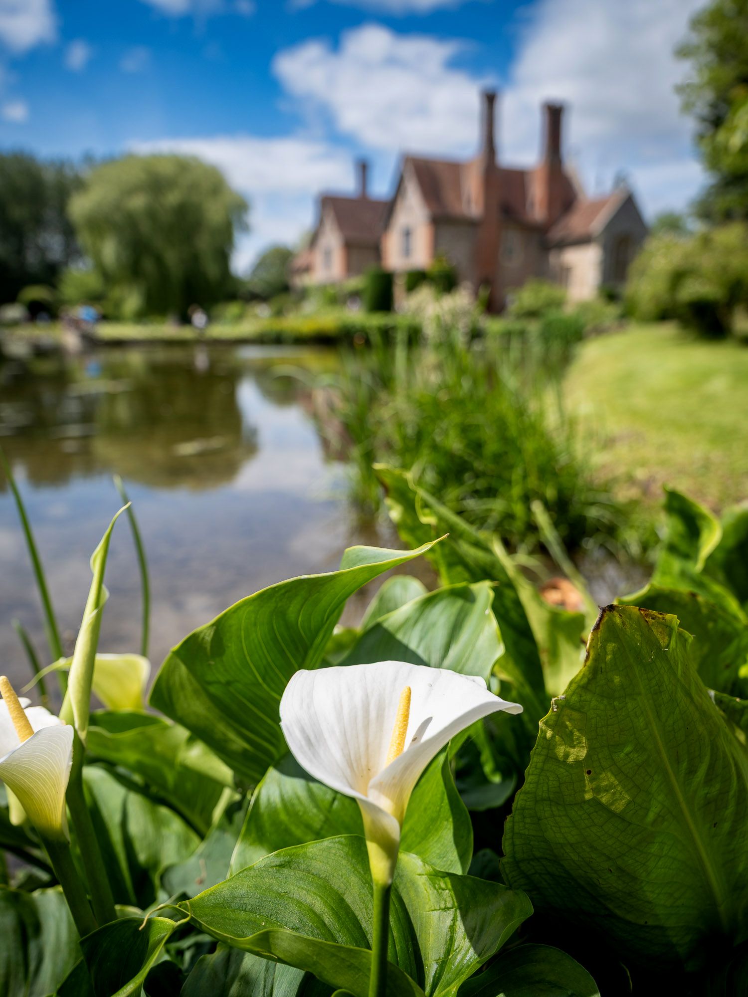 Elsing Hall, UK