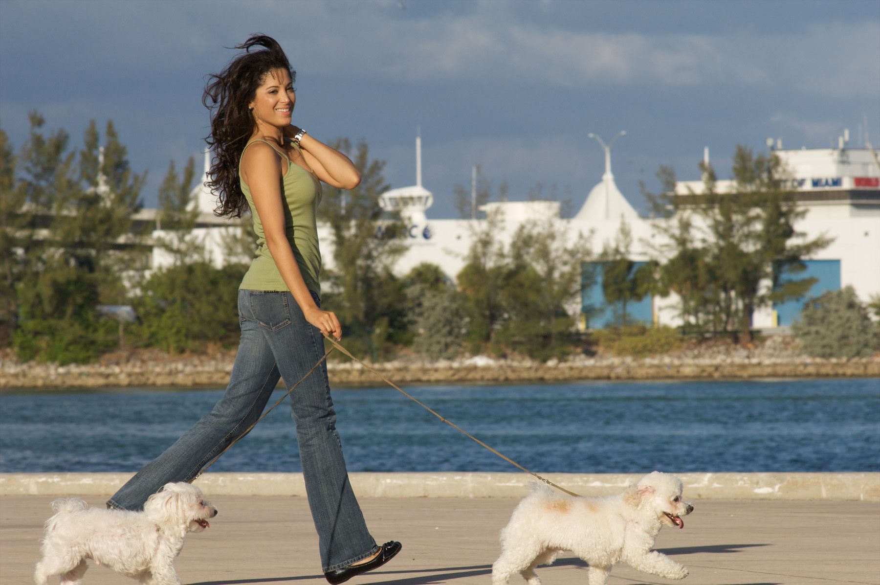 picture of very pretty hispanic woman walking her small white dogs by the bay dog walking photos