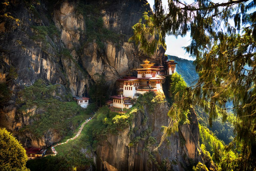 TIgers Nest
