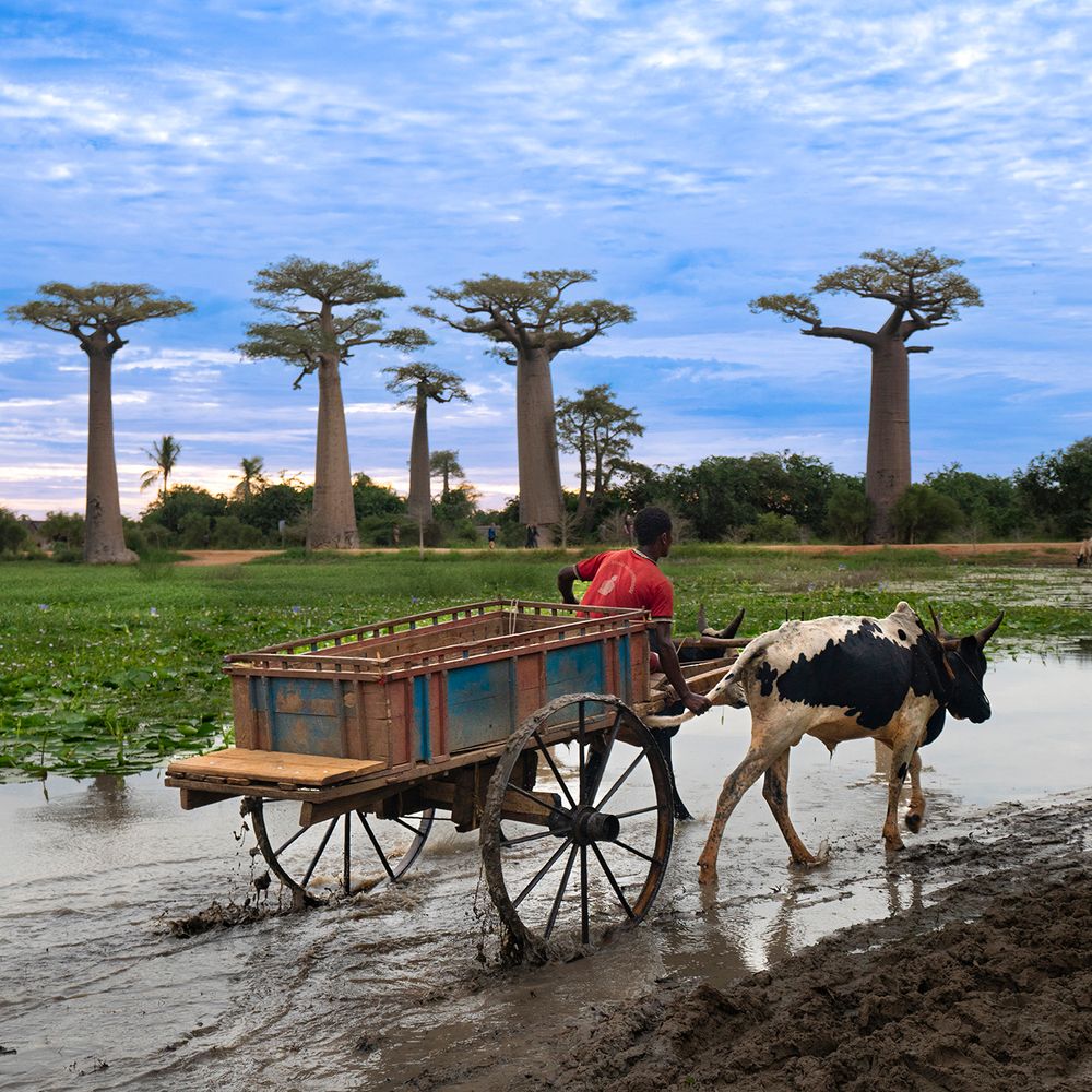 Madagascar