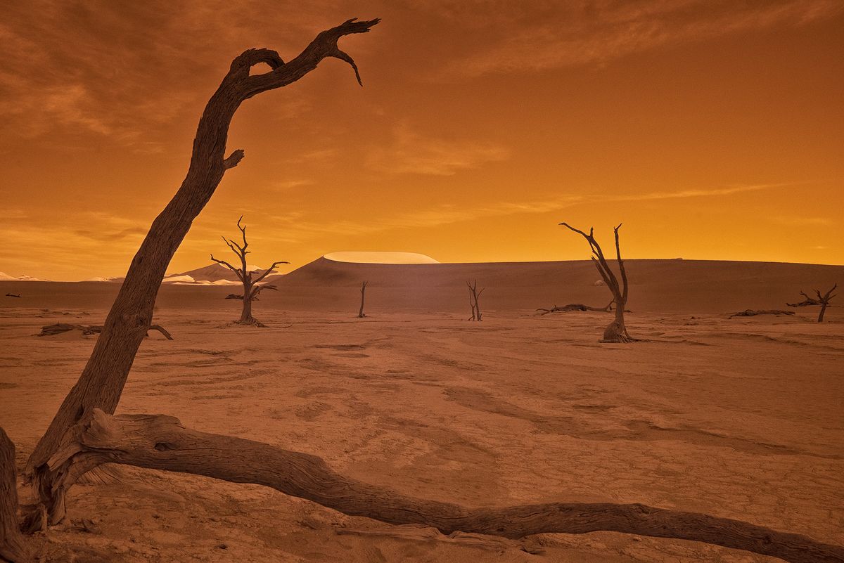 View at Sunset with IR DeadVlie Branches