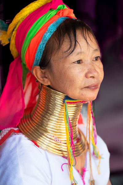 Long Neck Rainbow