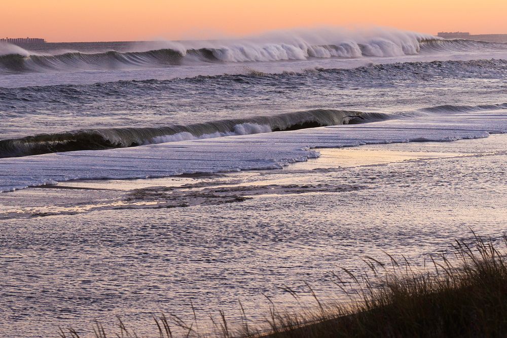 Feel the Ocean