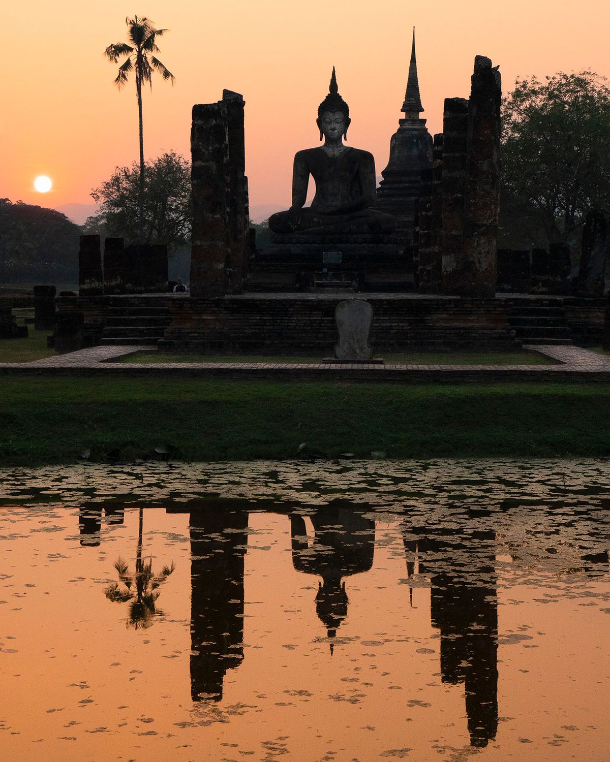 Buddha Reflective