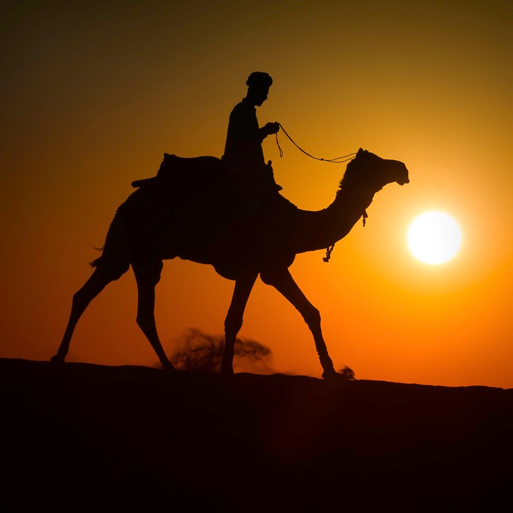 Rajasthan and PushkarCamel Fair