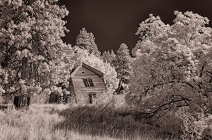 Infra red crooked house