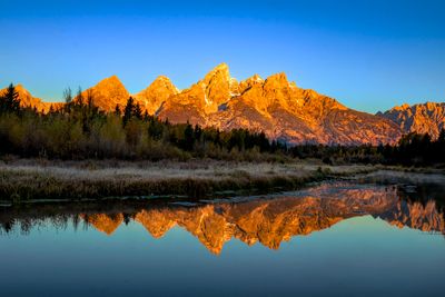 Schwabacher Morning