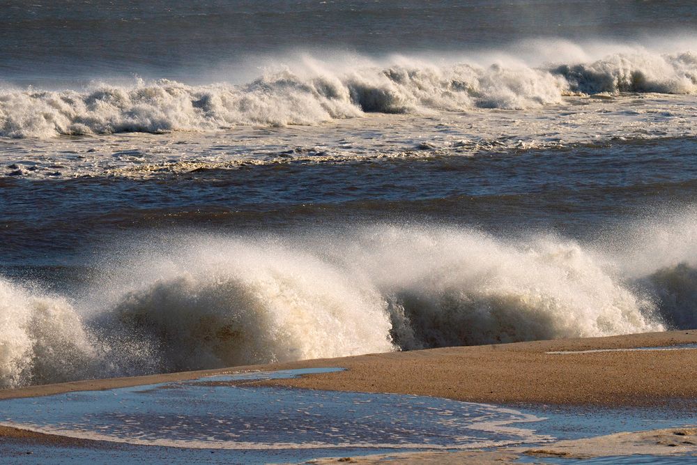 Wild Water