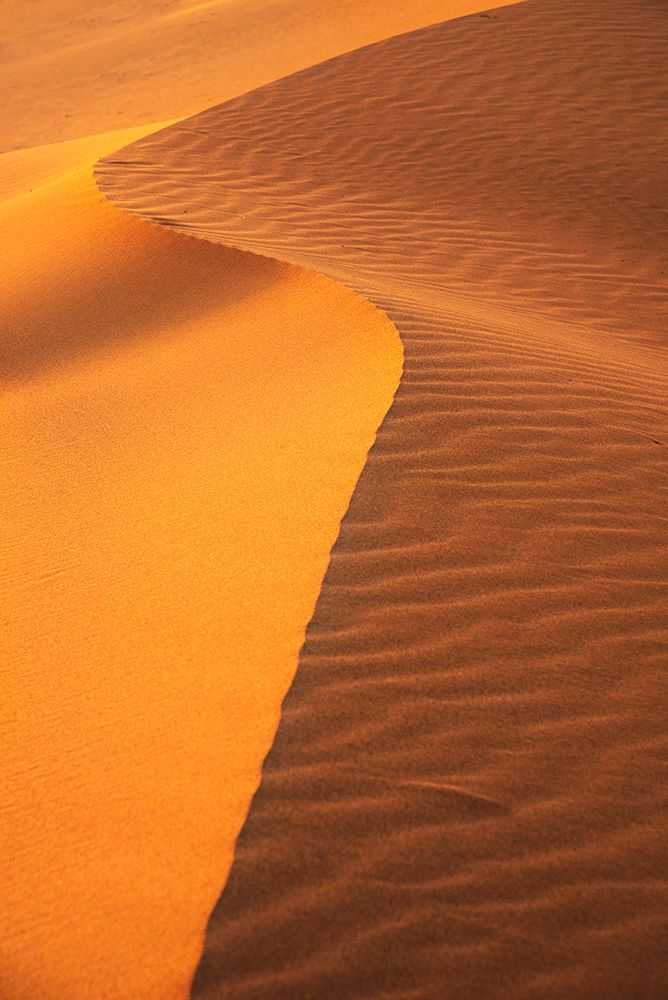beautiful desert photography