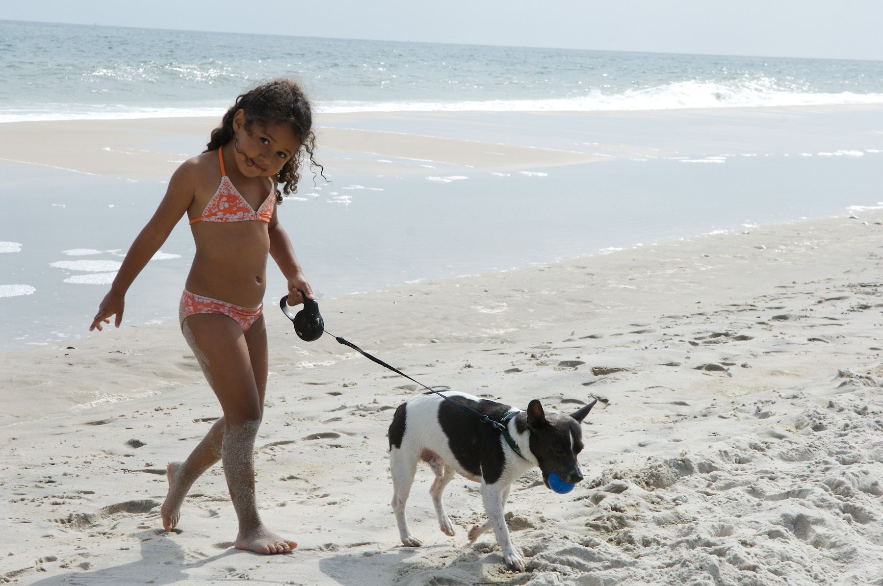 children and dogs children and dogs