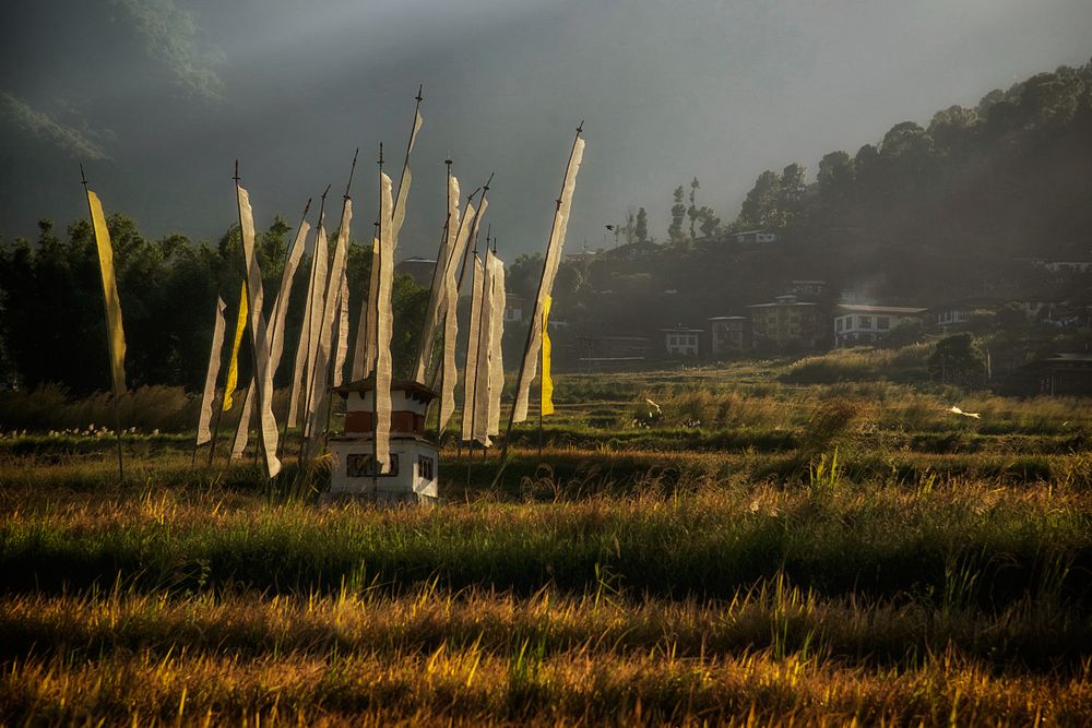 Prayer Flags