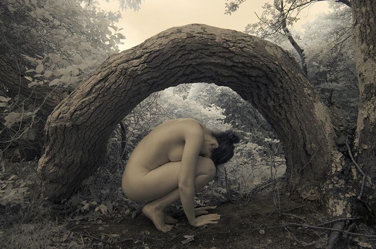 Nude in the Banyon tree