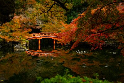 Red Bridge