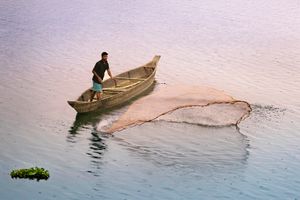 Cast Your Net