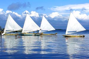 White Sailboats.jpg