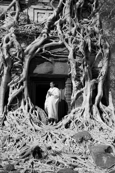 My Roots