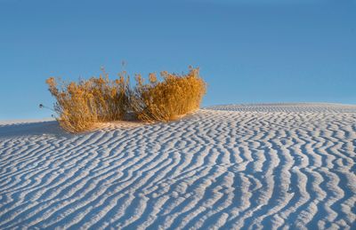 Sand Shapes