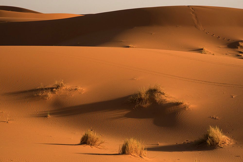 desert pictures