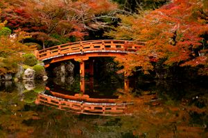 Kyoto Magic