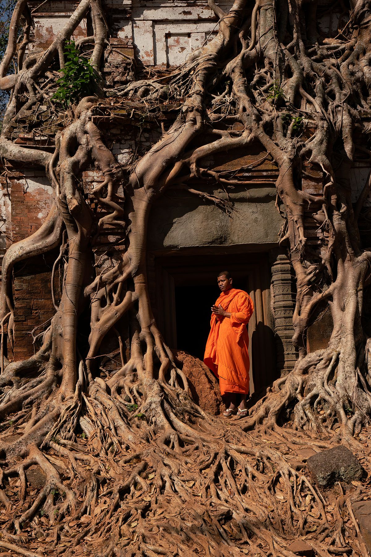 Roots of Religion