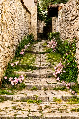 Pink flowered Steps2x.jpg