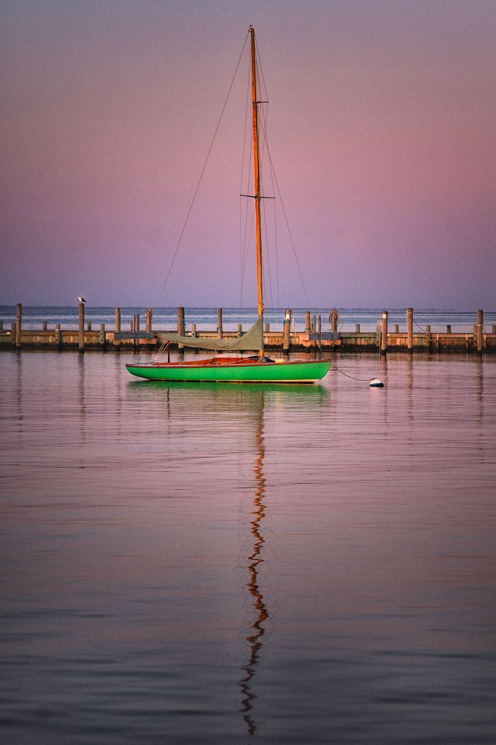 Tranquil Sail