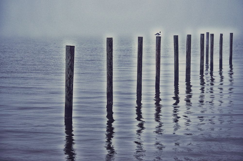 Blue Poles