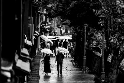 Rainy Afternoon