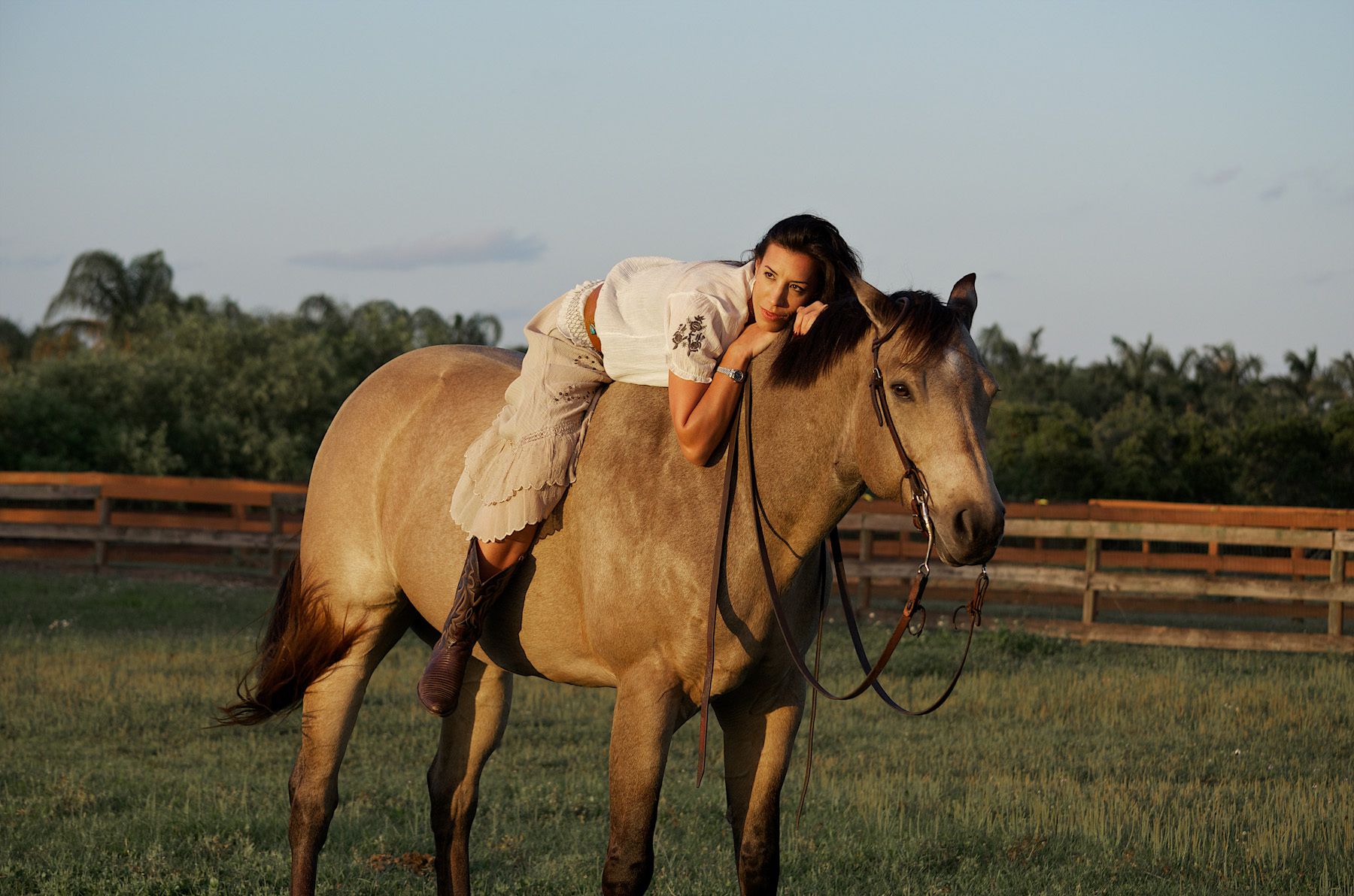 horseback riding photos horseback riding photos
