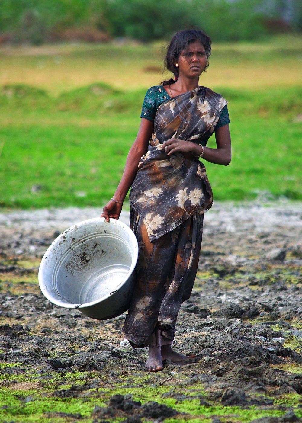 Farming in India