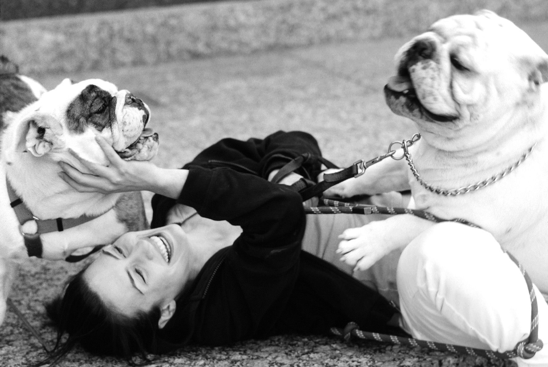 pictures of bulldogs with their owner bulldog pictures
