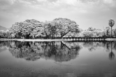 Tranquility Park