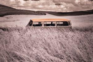 Volkswagon Bus