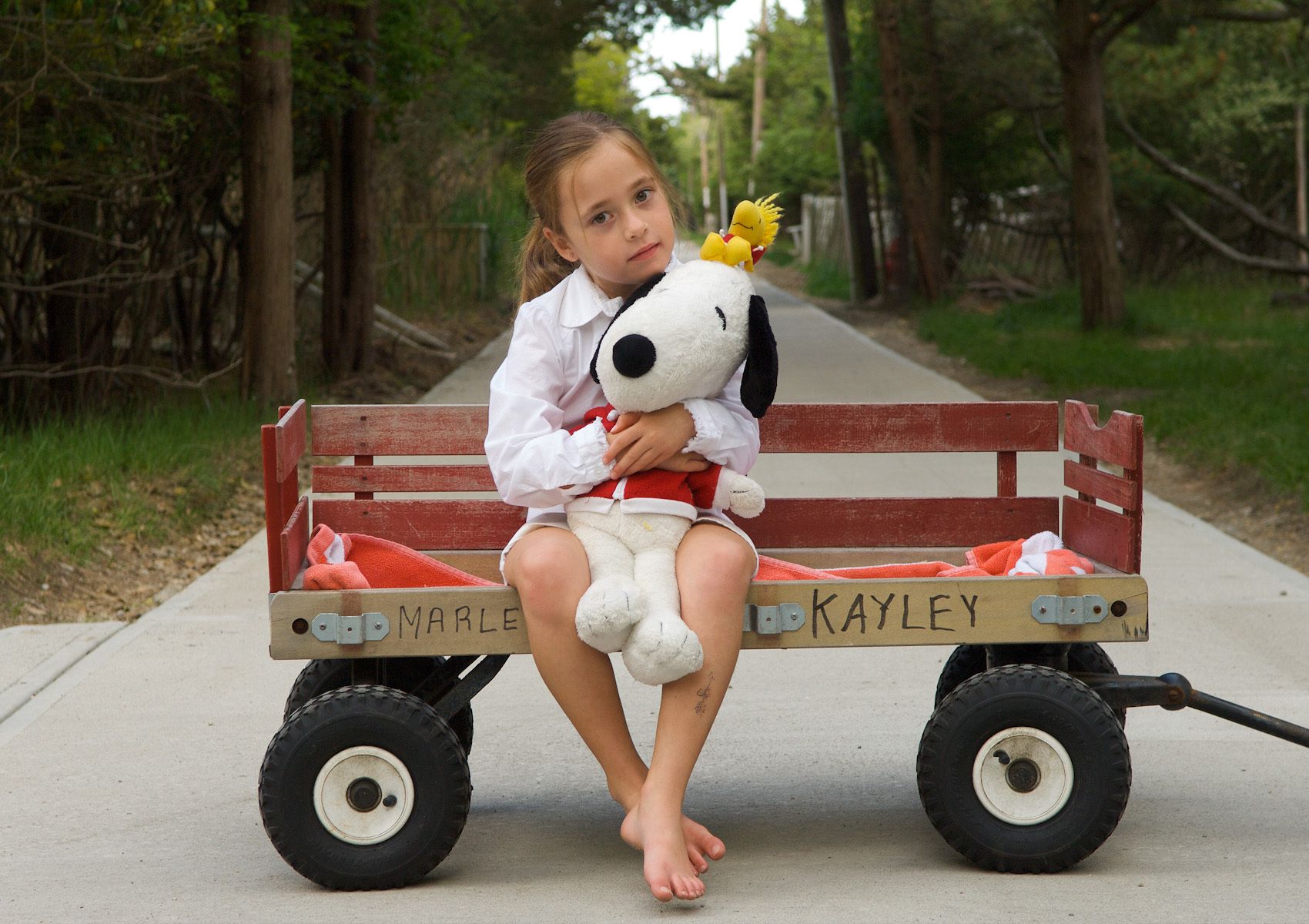 red wagon photos red wagon photos