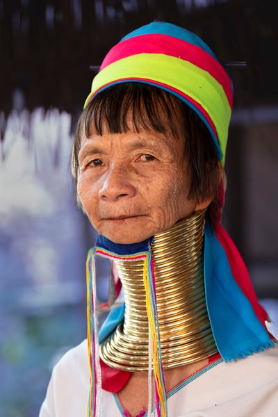 Long Neck Elder
