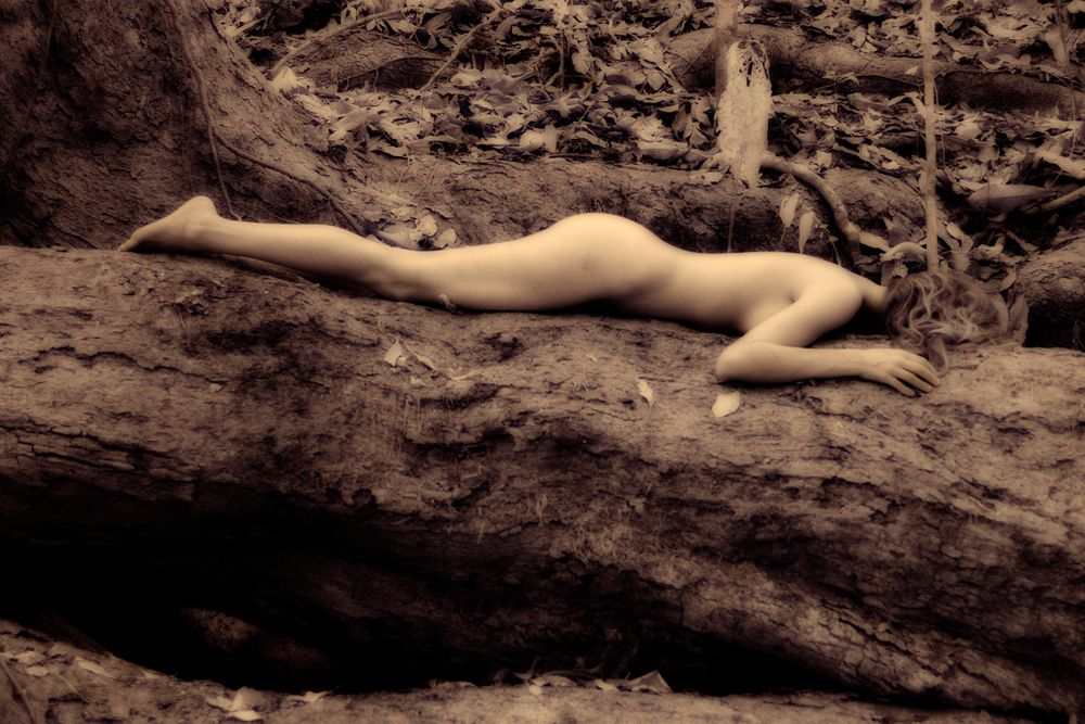 Nude on log