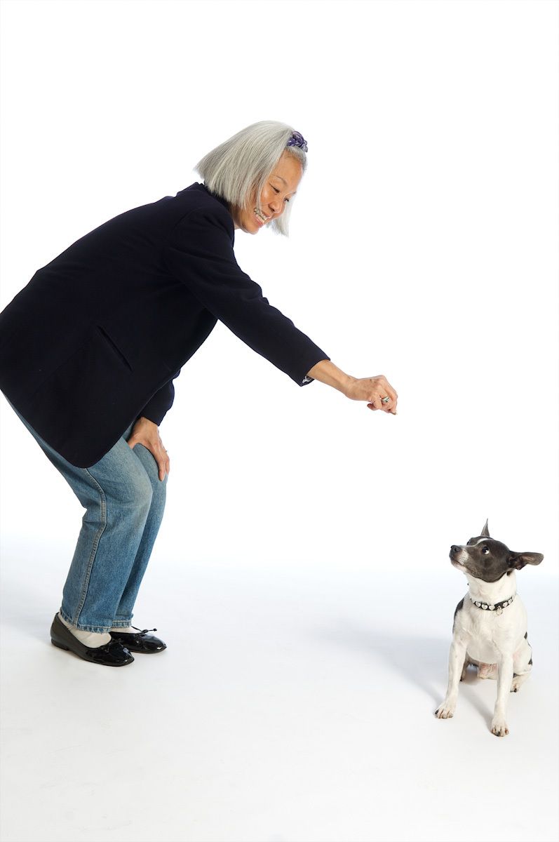 older lady feeding a dog Older Asian Lady