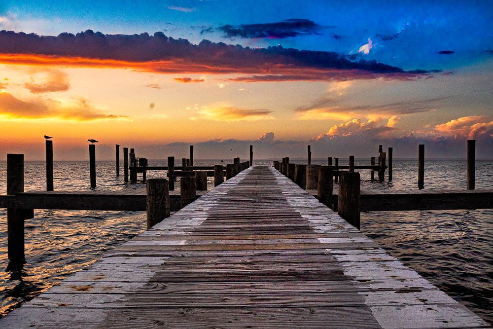 The Dock