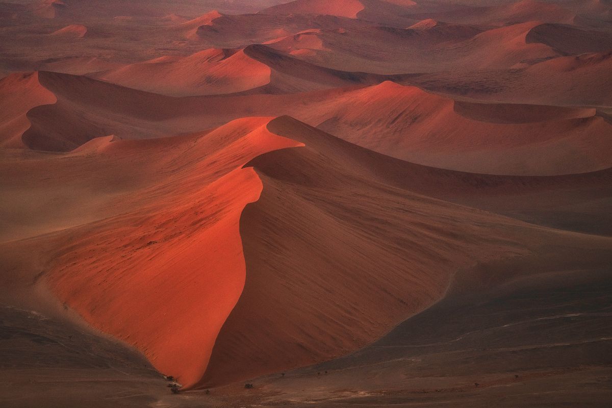 Early morning Dunes